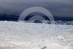 Sermeq Kujalleq Glacier, also Jakobshavn Glacier or known as Ilulissat Glacier seen from an airplane