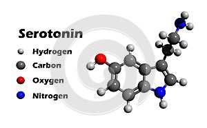 Serotonin 3D structure photo