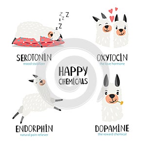 Serotonin, endorphin, dopamine, oxytocin. Hormone health icon. Hormones colorful vector illustration with alpaca
