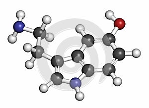 Serotonin neurotransmitter molecule. Atoms are represented as spheres with conventional color coding: hydrogen (white), carbon (