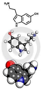 Serotonin neurotransmitter molecule, chemical structure