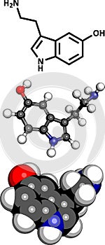 Serotonin neurotransmitter molecule, chemical structure