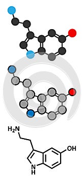 Serotonin neurotransmitter molecule. Stylized 2D renderings and conventional skeletal formula