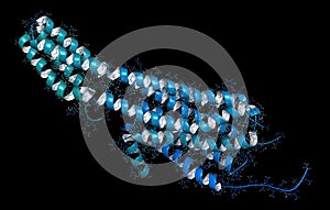 Serotonin receptor 5-HT2B protein. Shown in complex with an LSD molecule. Involved in drug-induced valvular heart disease. 3D