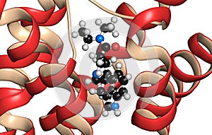 Serotonin receptor 5-HT2B protein. Shown in complex with an LSD molecule. Involved in drug-induced valvular heart disease. 3D photo