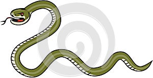 Serpent Coiling Side Isolated Cartoon photo