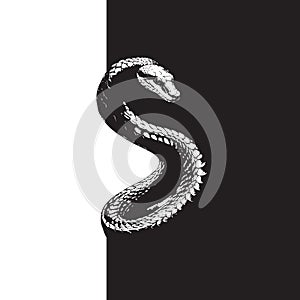 Serpent illustration banner