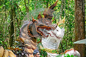 Serpent king of Nagas