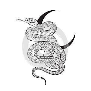 Serpent over the crescent moon line art and dot work. Boho chic tattoo, poster, tapestry or altar veil print design vector