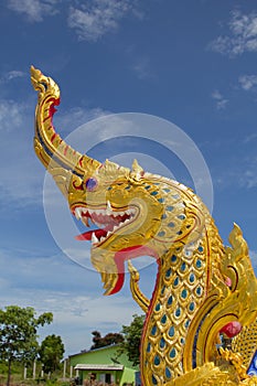 The serpent is on sky background and belief of the ancient creatures. It is considered a sacred creature of Buddhism.