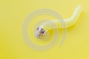 Serpentine for Christmas tree in the form of worms