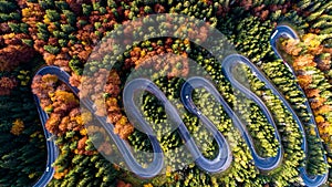 Serpentine details - aerial view of winding forest road in the mountains. Colourful landscape with rural road, trees with yellow l