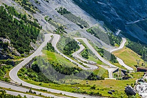 Serpenti montagna strade Italiano Alpi investire 