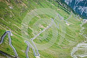 Serpenti montagna strade Italiano Alpi investire 