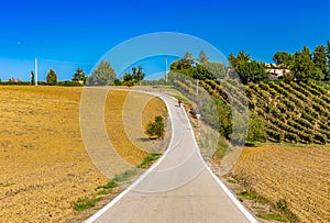 Serpentine road through the plowed fields