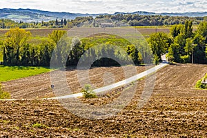 Serpentine road through the plowed fields