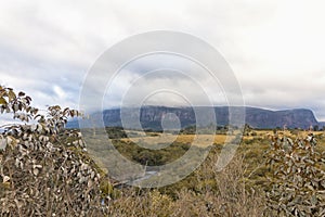 Serra da Canastra National Park