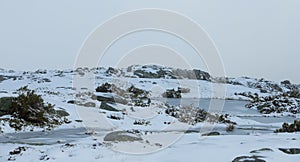 Serra da Estrela snow landscape. Nature landscape with frozen ponds, snowy covered vegetation and rocks.