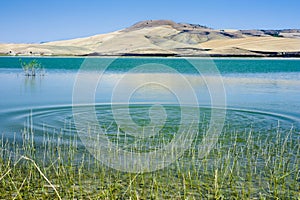 Serra del Corvo / Basentello lake photo