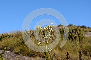 Serra dos Ã“rgÃ£os National Park