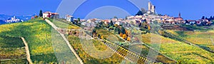 Serralunga d& x27;alba village in Piemonte with vast vineyards. North photo