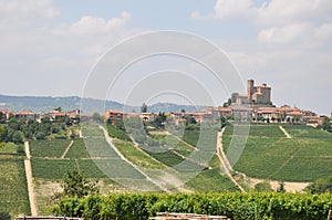 Serralunga di Alba barolo vineyards Langhe Italy photo