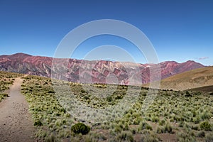 Serrania de Hornocal, the fourteen colors hill at Quebrada de Humahuaca - Humahuaca, Jujuy, Argentina