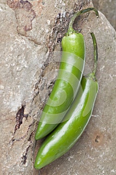 Serrano Pepper