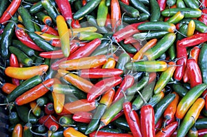 Serrano Peppers