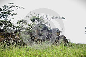 Serrote trail stones in Andrelândia