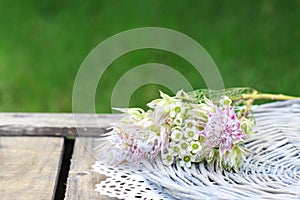 Serruria florida blushing bride and chamelaucium wax flower bouquet