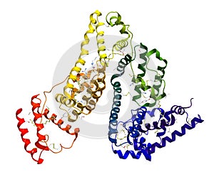 Serum albumin molecular structure