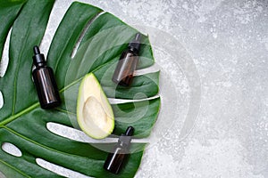 Serum with avocado oil on a tropical leaf with copy space. Avocado oil in glass bottle with dropper