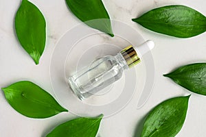 Serum bottle with dropper in frame from green tropical leaves on marble background. Aromatherapy oil. natural beauty product for