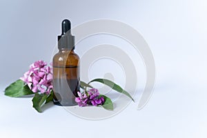 Serum Cosmetic Bottle With Peptides And Retinol with flowers