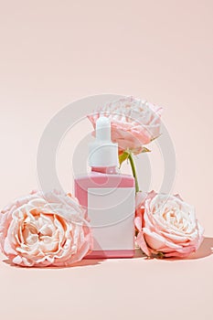 Serum in pink glass dropper bottle pink roses on light peach background. Natural skin care product. Beauty routine still life.