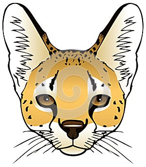 Serval