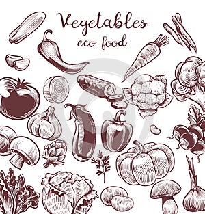 Serve vegetables. Hand drawn vintage engraving illustration for poster, labels and cafe or restaurant menu, eco and