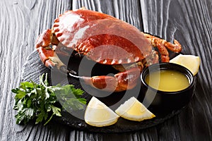 Served boiled delicacy brown crab with sauce, lemon and parsley
