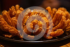 Served Fried Blooming Onion Appetizer