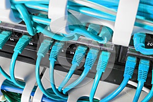 Server rack with blue internet patch cord cables