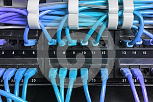 Server rack with blue internet patch cord cables