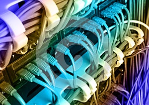 Server rack with blue internet patch cord cables