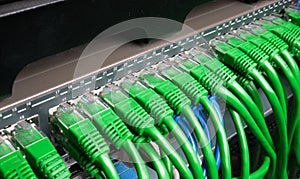 Server rack with green internet patch cord cables