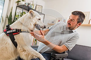 Service dog retrieving dropped remote control to a man in wheelchair