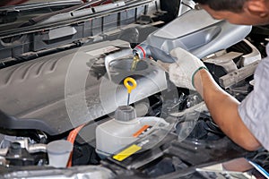 Servicing mechanic pouring new oil lubricant into the car engine