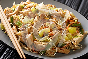 Serving filipino rice noodle bihon with vegetables and meat close-up in a plate. horizontal