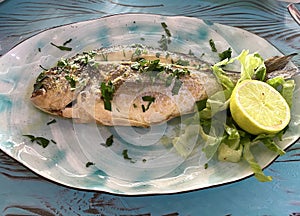 serving fried sea bass fish on a plate with lemon and herbs.