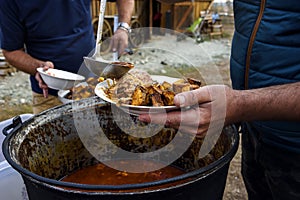 Serving rabbit stew with fried potatoes