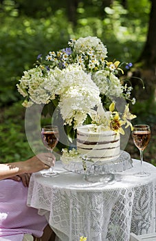 Serving a romantic picnic with cake